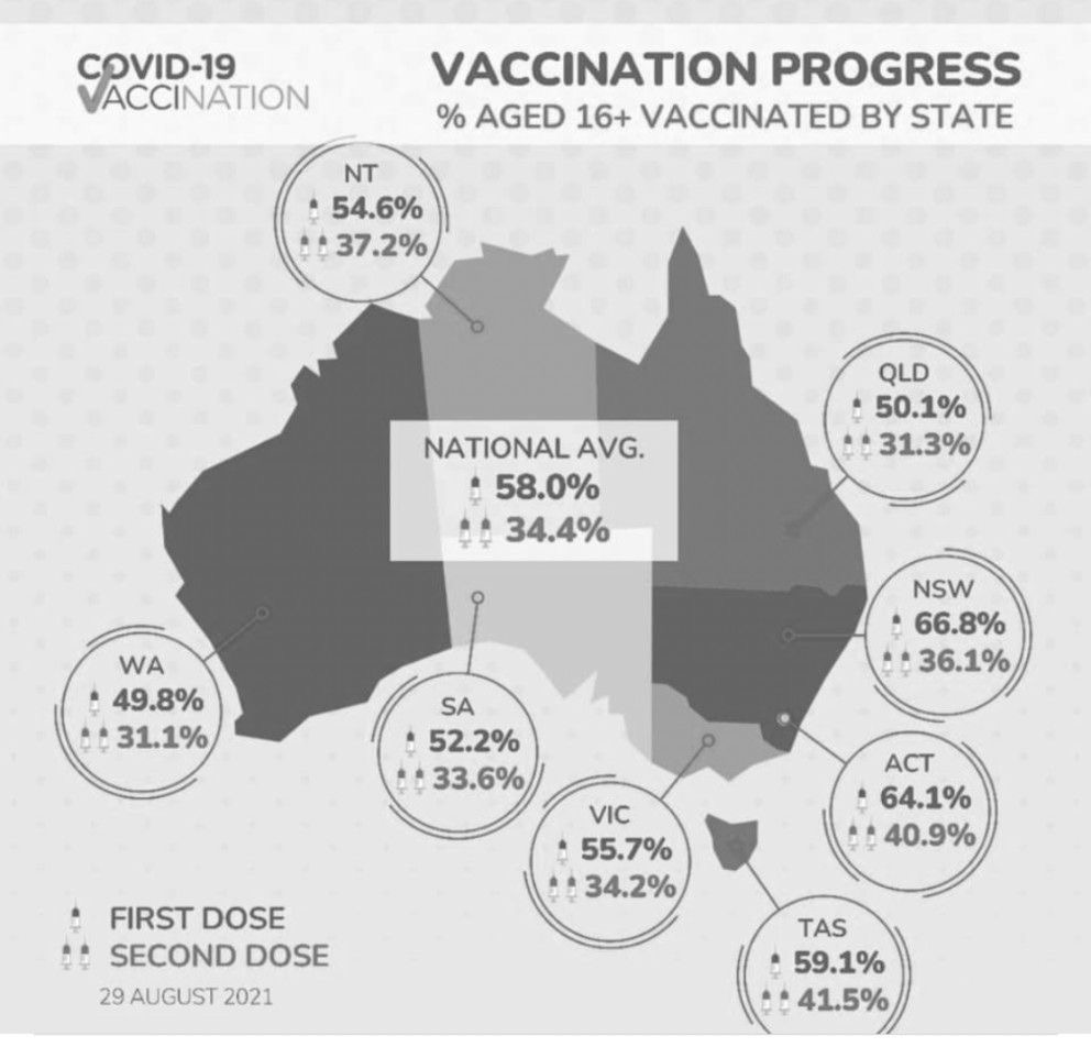 Panadol covid vaccine