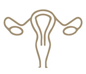 Learn more about Women's Health at CBD Doctors Melbourne Learn more about Women's Health at CBD Doctors Melbourne